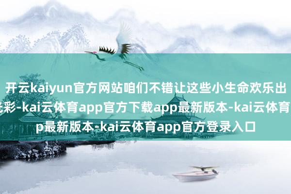 开云kaiyun官方网站咱们不错让这些小生命欢乐出愈加迷东谈主的光彩-kai云体育app官方下载app最新版本-kai云体育app官方登录入口