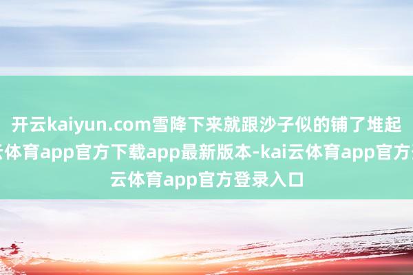 开云kaiyun.com雪降下来就跟沙子似的铺了堆起来-kai云体育app官方下载app最新版本-kai云体育app官方登录入口