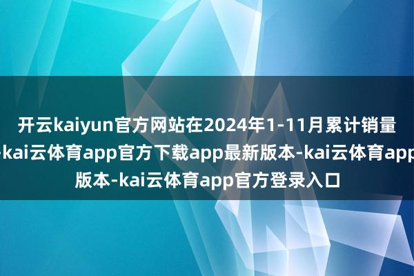 开云kaiyun官方网站在2024年1-11月累计销量为339.5万辆-kai云体育app官方下载app最新版本-kai云体育app官方登录入口