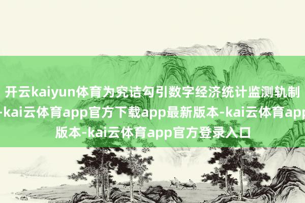 开云kaiyun体育为究诘勾引数字经济统计监测轨制提供参考鉴戒-kai云体育app官方下载app最新版本-kai云体育app官方登录入口