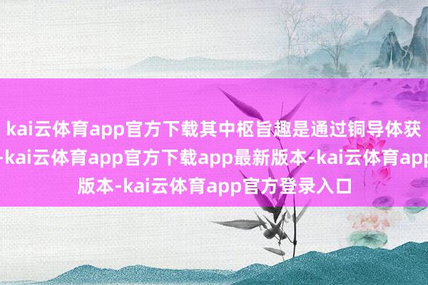 kai云体育app官方下载其中枢旨趣是通过铜导体获胜传输电信号-kai云体育app官方下载app最新版本-kai云体育app官方登录入口