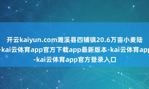 开云kaiyun.com濉溪县四铺镇20.6万亩小麦陆续插足拔节期-kai云体育app官方下载app最新版本-kai云体育app官方登录入口
