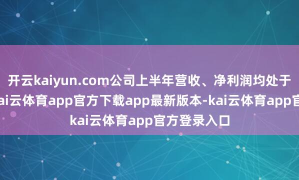 开云kaiyun.com公司上半年营收、净利润均处于下滑态势-kai云体育app官方下载app最新版本-kai云体育app官方登录入口