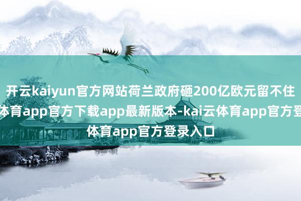 开云kaiyun官方网站荷兰政府砸200亿欧元留不住-kai云体育app官方下载app最新版本-kai云体育app官方登录入口