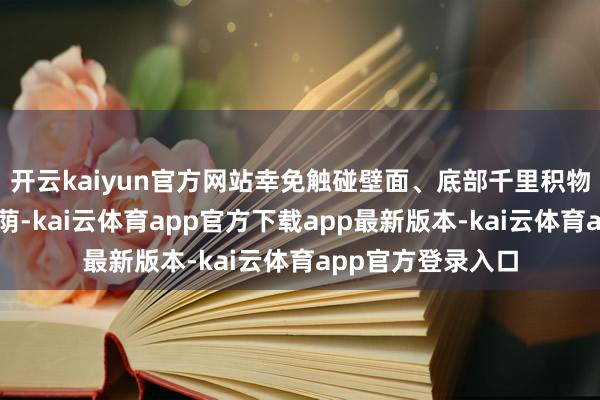 开云kaiyun官方网站幸免触碰壁面、底部千里积物或被支捏结构庇荫-kai云体育app官方下载app最新版本-kai云体育app官方登录入口
